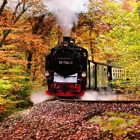 Jargow _ Alt_reddevi Apartament *